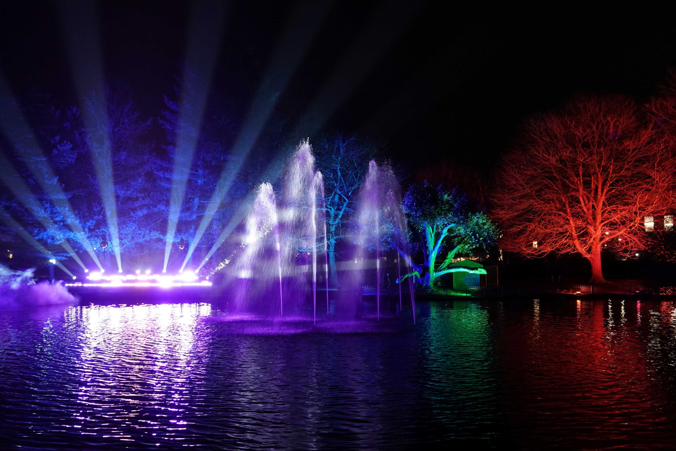 2025 Spotlight Event